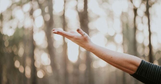 Individual Counselling